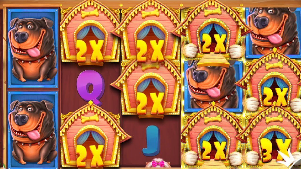 The Dog House Megaways Slot! 🐾 Megaways Mania for Big Rewards - YouTube