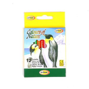 الوان خشب 12 قصير A CLASS - الصورة 3